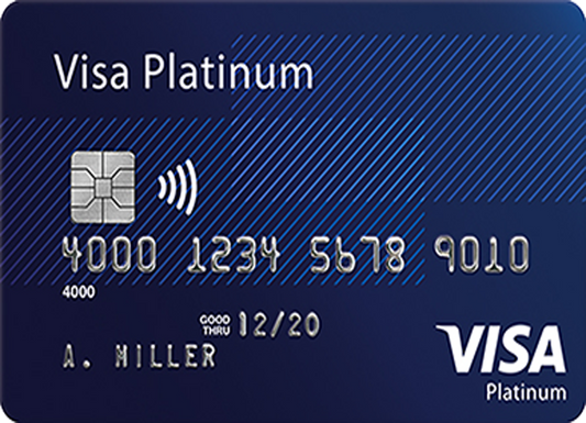 Visa Platinum (for shopping)