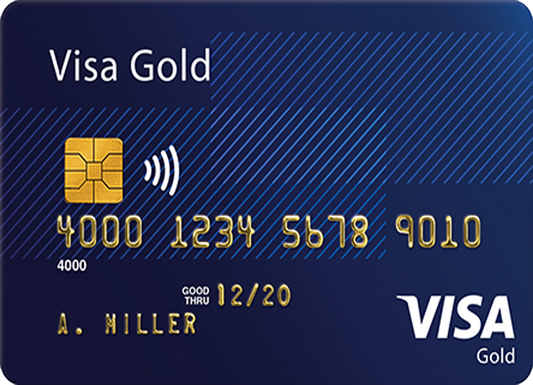 Visa Gold (for shopping)